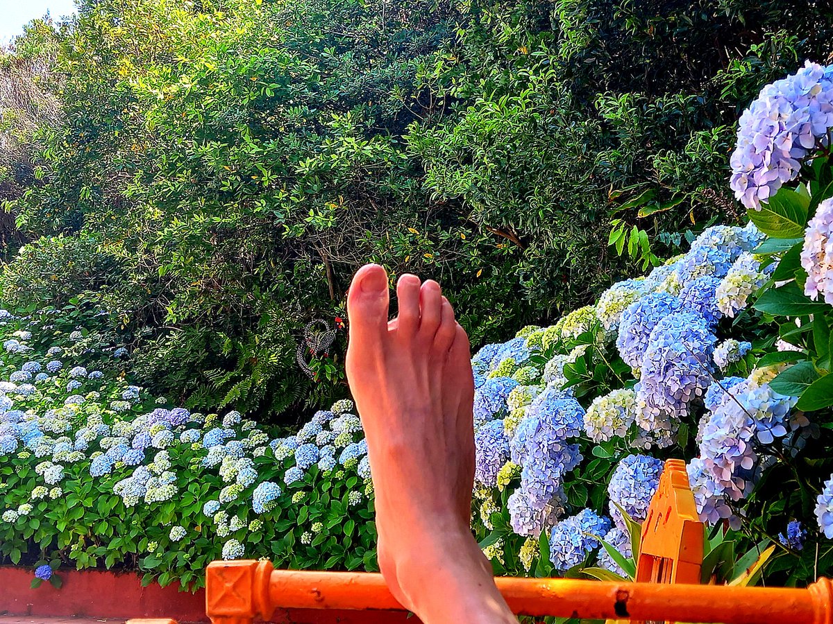 Que olvidada está Huelva
entre famosos y exuberantes
destinos de Andalucía
Rincones, sabores, colores
sonrisas al ritmo pausado
de la plaza de las monjas
Cerca la playa
la historia y la naturaleza
la vida y la muerte
entre el Guadiana y el Guadalquivir
Ya en casa…
Gracias Huelva