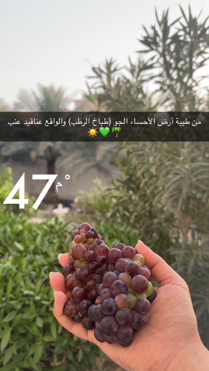 shogkarim tweet media