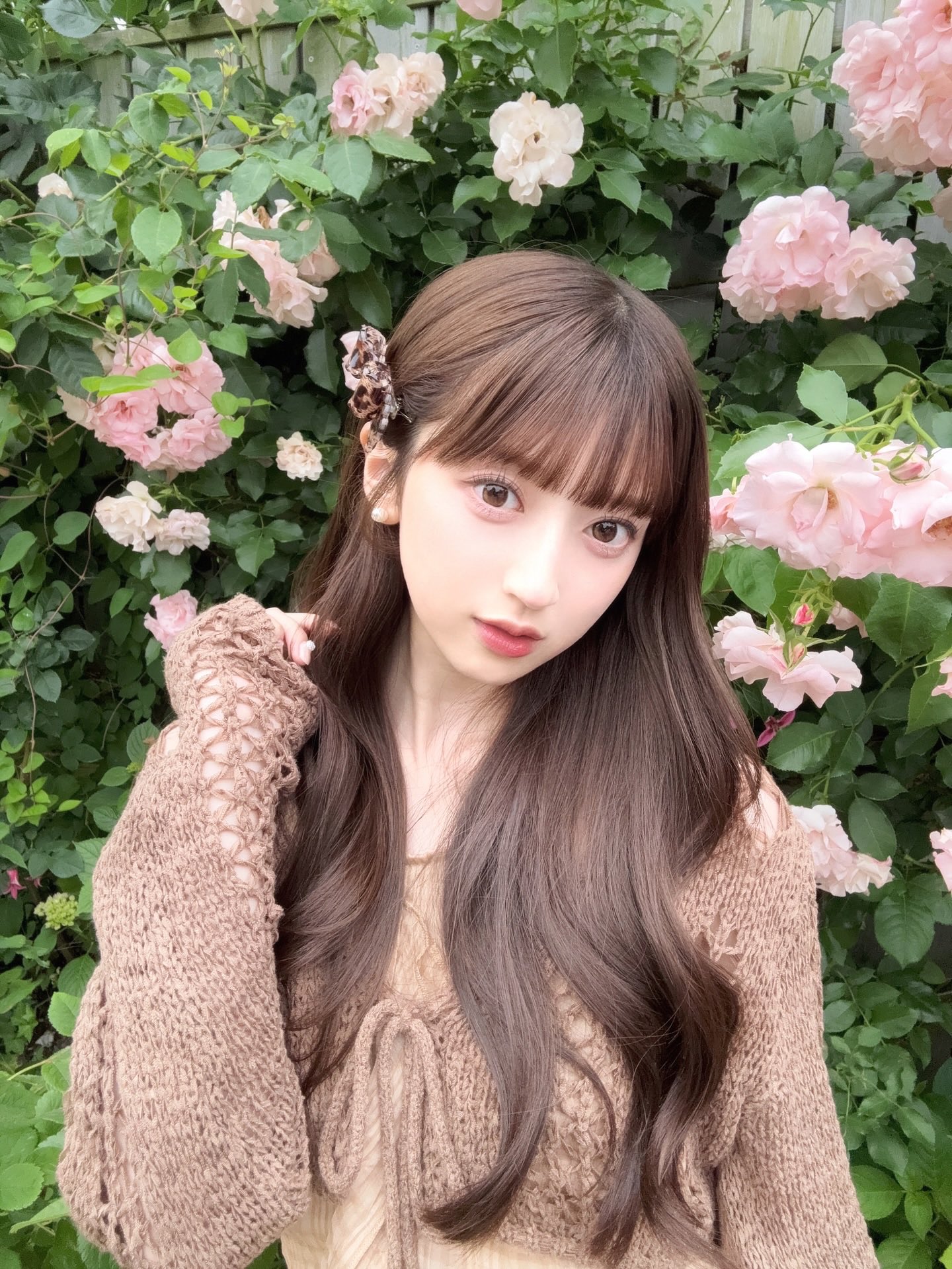 ののたん🦔 on X: 