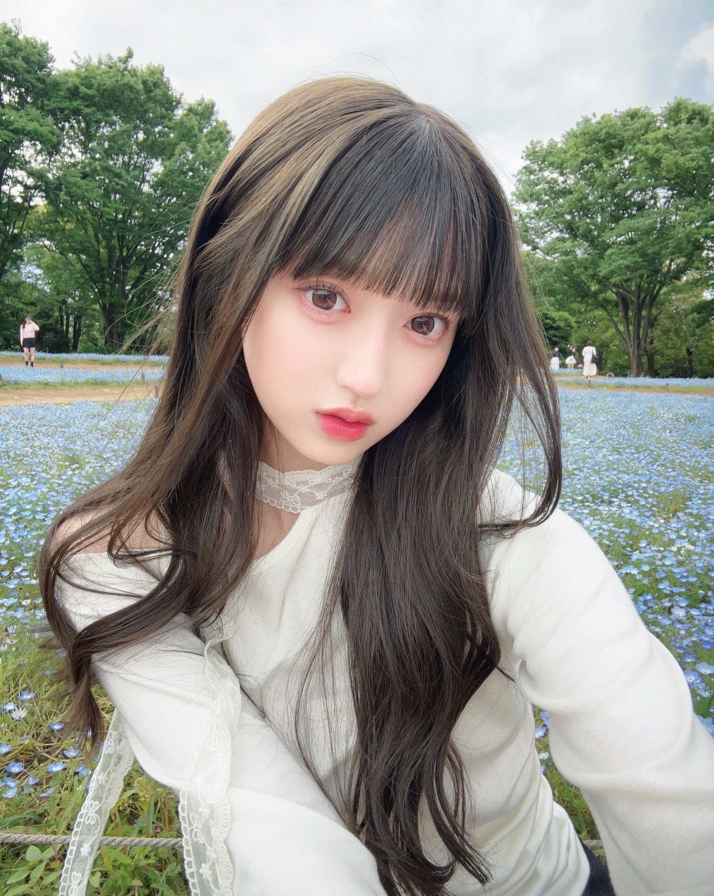 誕生日プレゼント ののたん🦔 on  X: 邦楽