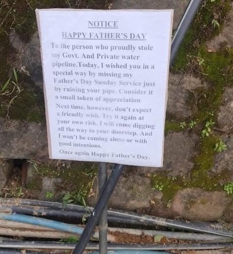 Give this person a medal. 😂😂😂