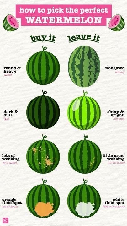 Wanted to share this awesome diagram on how to pick a ‘good’ watermelon 🍉 

Although I didn’t create it, this diagram is quite accurate. Especially the bottom image showing the orange spot! That beautiful spot hasn’t failed me yet! 🧡