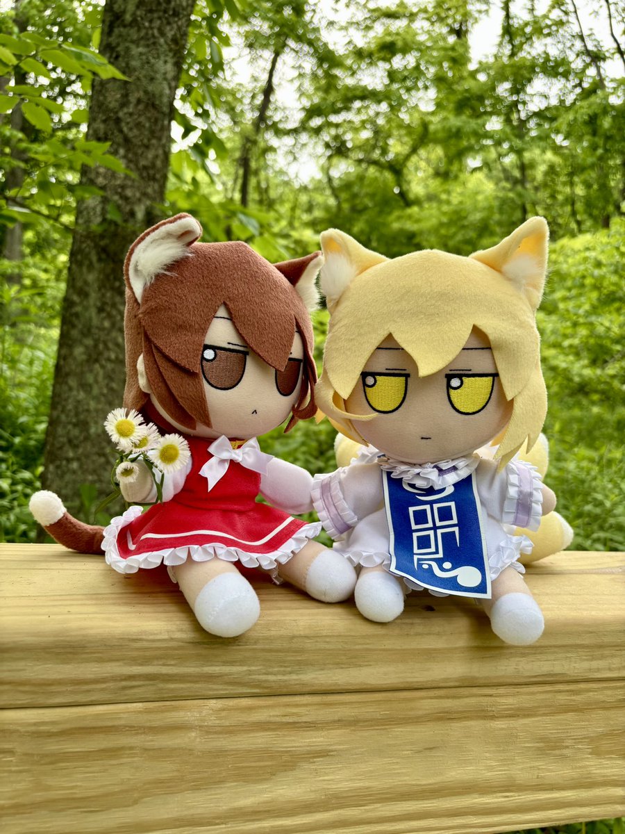 tupbunny's tweet photo. I love it when the temperature is warm enough to sunbathe ! 🐱 Most especially with someone I feel the most safe with. 🍊🦊
.
.
.
#東方Project #ふもふも #東方Project #ふもふも #Fumo #FumoFumo #touhou #Yakumo #udonge https://t.co/Lt2DCgfEPk