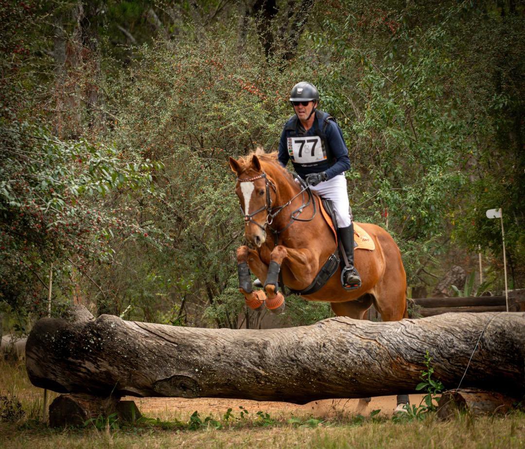 PROppa day out for me on Father’s Day doing what I 🧡.  Zermatt is powered by the Performance Feed - “Profeeds” that and a bit of genetics and schooling is why he’s one of the top in 🇿🇼- it’s what we strive for 😊