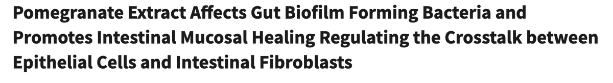 Elijahkrings's tweet photo. Little n=1 experiment

Been starting my day with L-reuteri A2 yoghurt, pomegranate/kiwi, cocoa/colostrum/ cinnamon powder

My gut feels really good after it

The myth is true:

Pomegranate is a legendary gut healer https://t.co/saiZN4E9hK