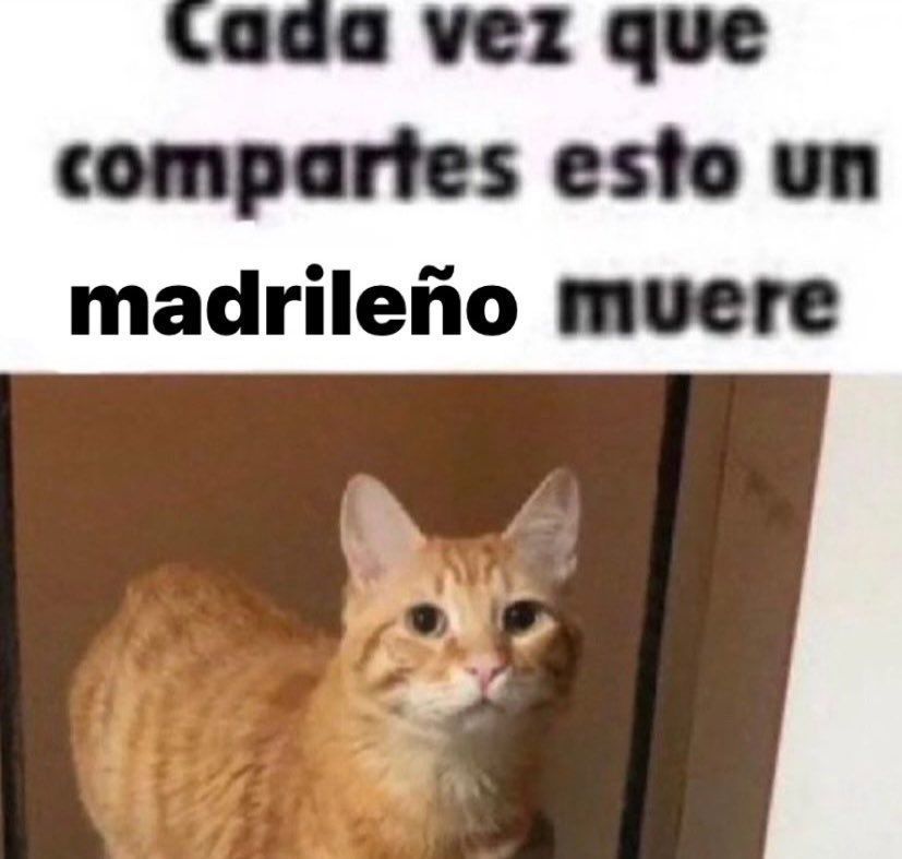wikipistacho's tweet photo. https://t.co/To6nnbwF3R