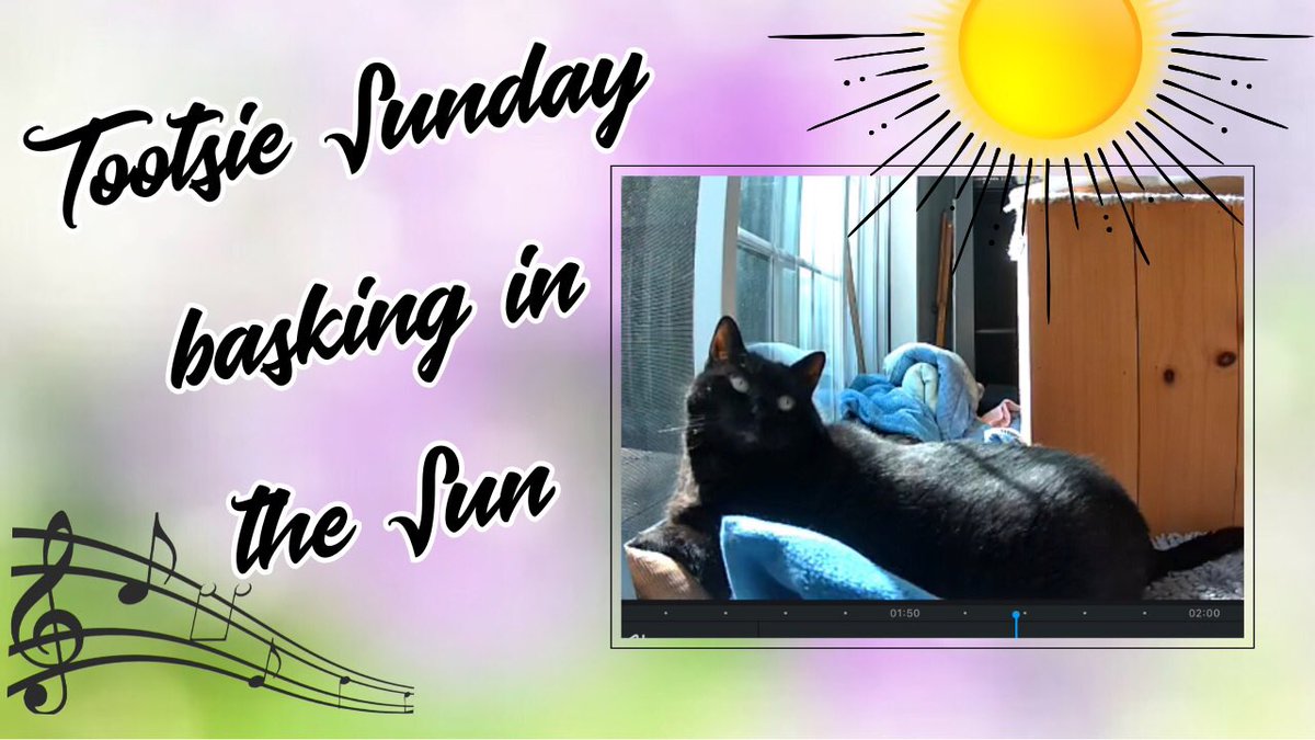 1960) Tootsie (Sunday) basking in the Sun youtu.be/W6h_zLYtEIA?si… via <a href="/YouTube/">YouTube</a>