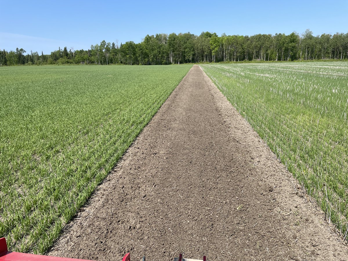 Annnnd because I’m doing a job he hates (rototilling isolation strips between seed fields), at a mind numbing 0.6 MPH, wanted to wish <a href="/BigTNorthAg/">Terry Phillips, CCA-ON, 4R-NMS 🧢</a> a #HappyFathersDay   today. We survived a full year farming together. Let’s try another one!
