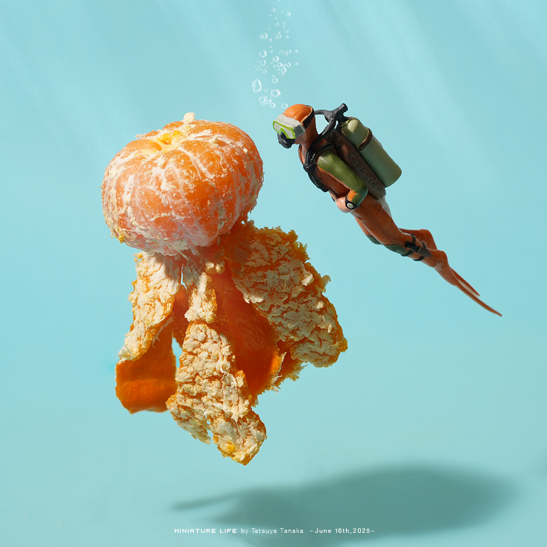 ビタミンSeaのクラゲ