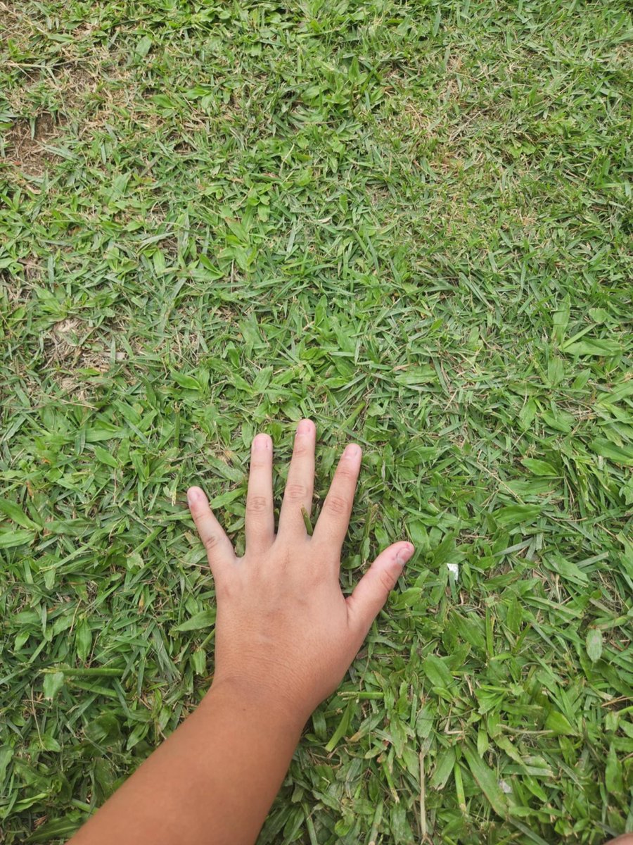 MatriarcPe23494's tweet photo. #openseatouchgrass https://t.co/pPs52Eye8D