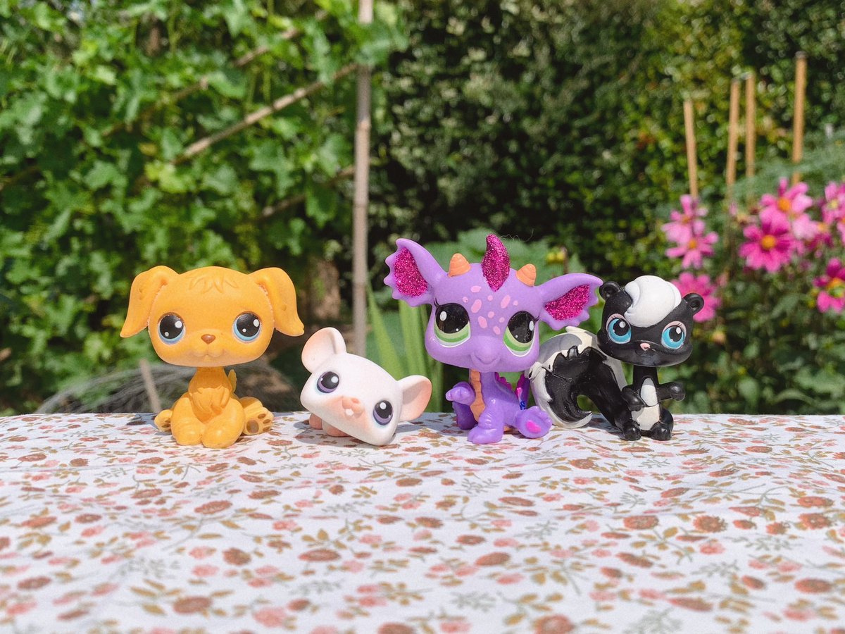 some pride flags!!🌈