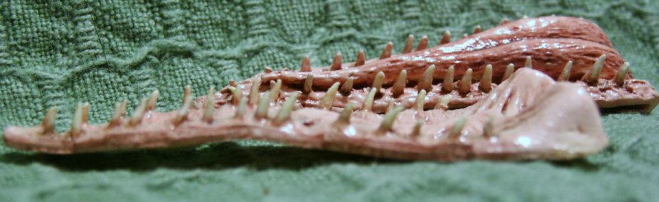 Lost World Compsognathus maquette recast mouth pieces, painting by Steve Hoeger for Don Lessem's "The dinosaurs of #JurassicPark: The Lost World" exhibit.