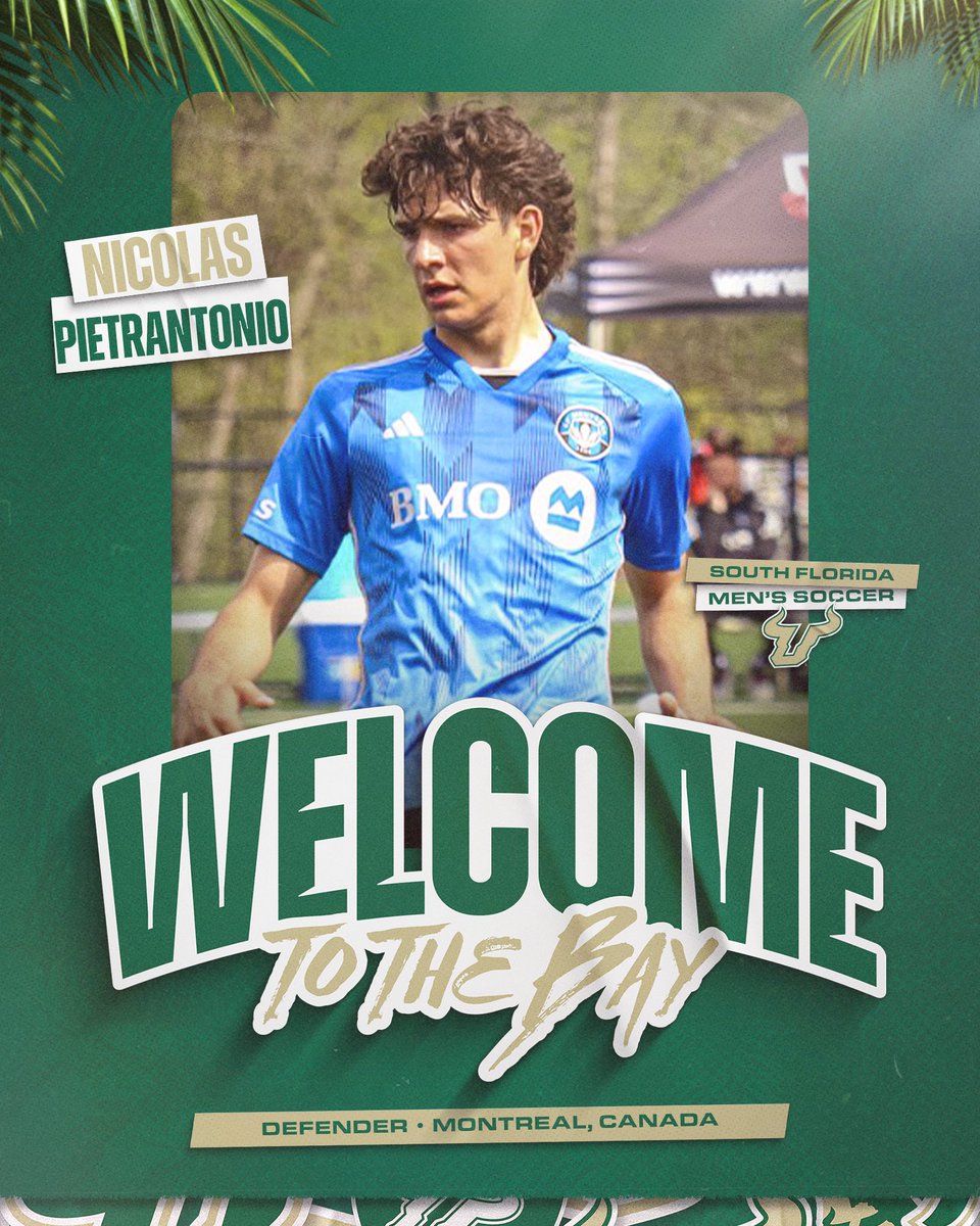 USFMSOC's tweet image. Welcome to The Bay 🏝️ Nicolas Pietrantonio!

#HornsUp🤘
