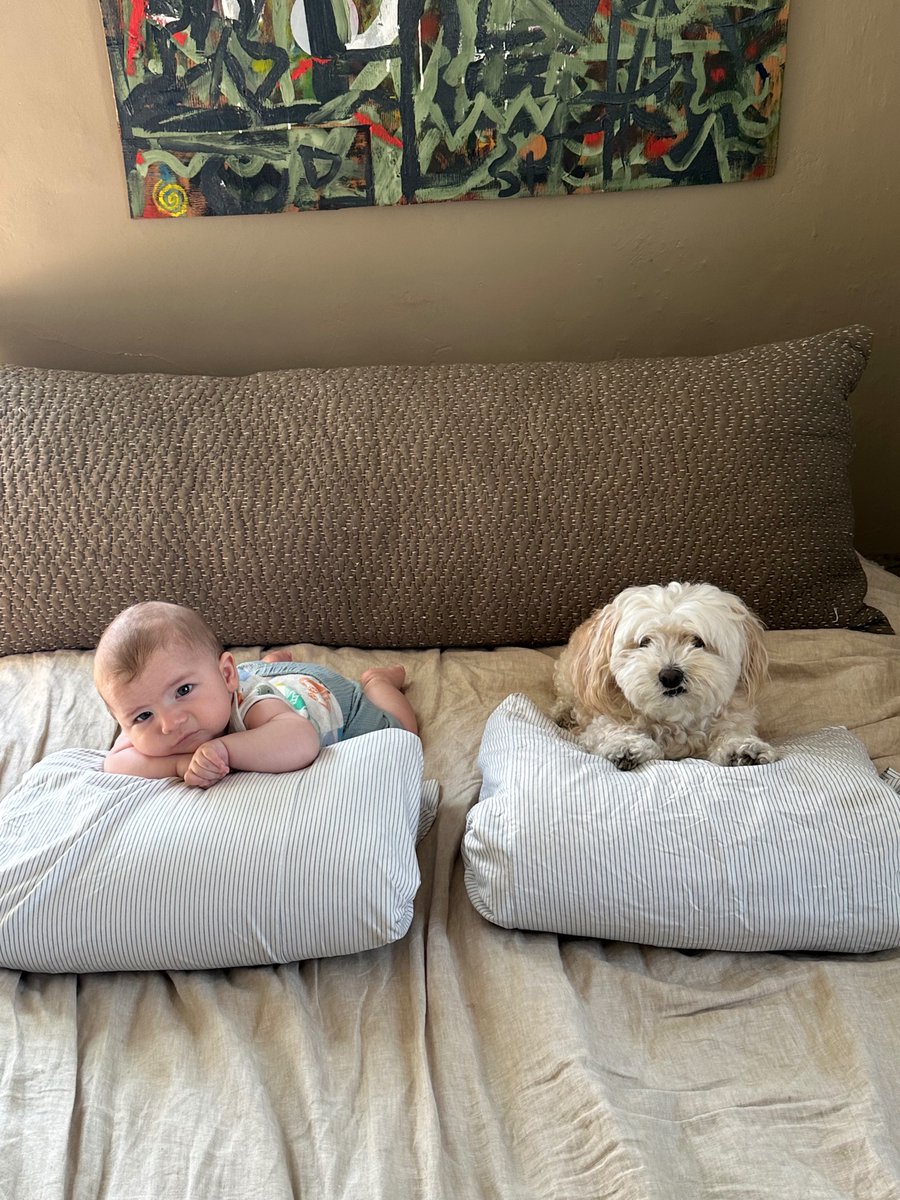 Gothwhiteinc's tweet image. 2-Shot of my godson Cosmo and Moose 🙌🏻