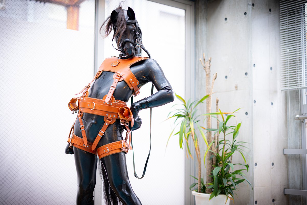 逆鳴ふらむ tweet media