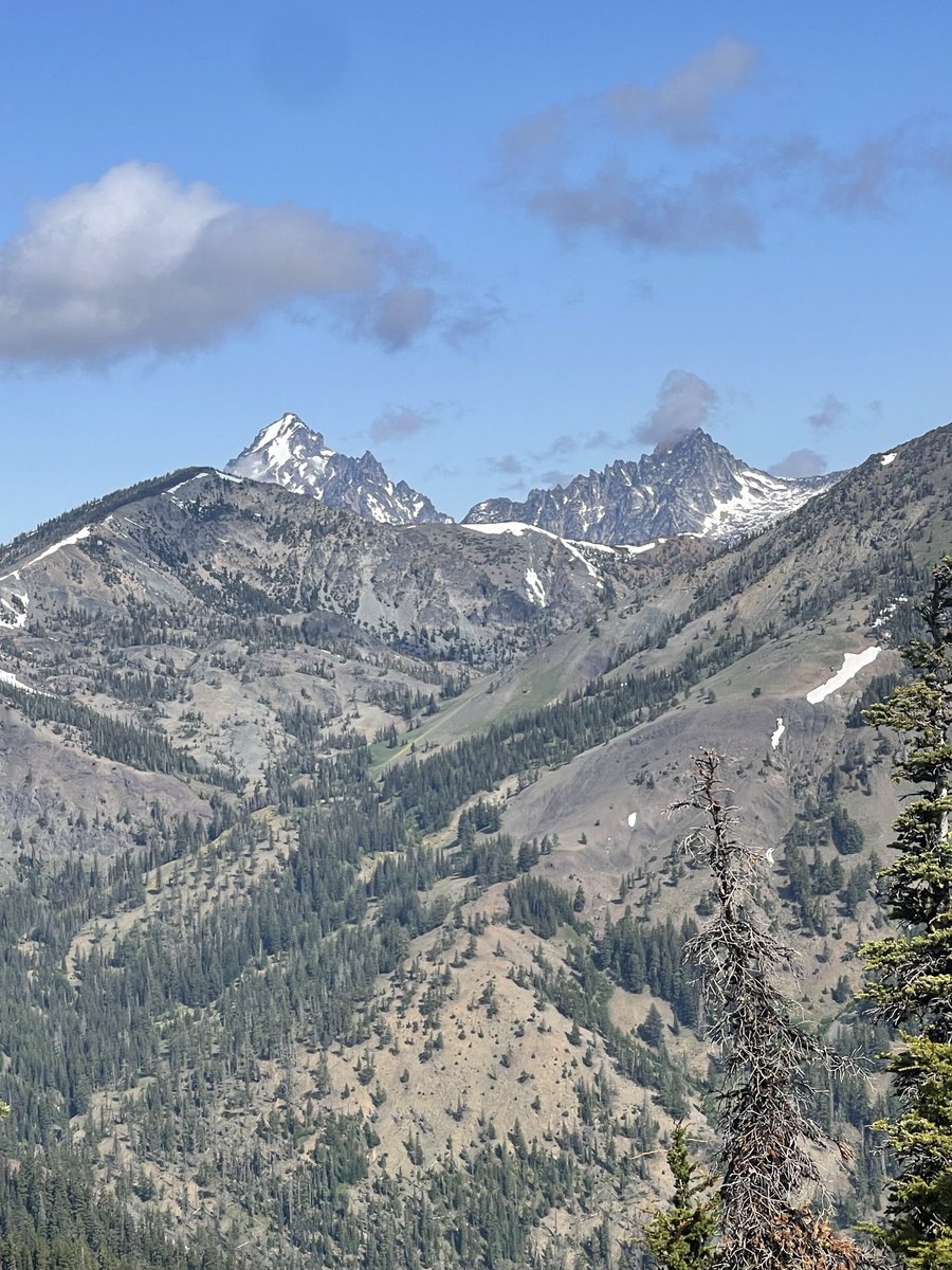 Another beautiful day for a hike. Climbed high enough to find Bunker some snow. Sure wish I had his youth and energy lol.