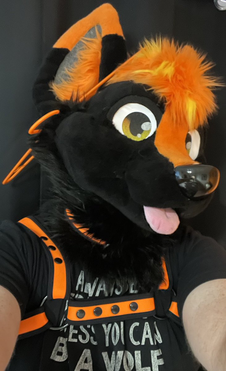 🏴󠁧󠁢󠁷󠁬󠁳󠁿Osi🏳️‍🌈 tweet media