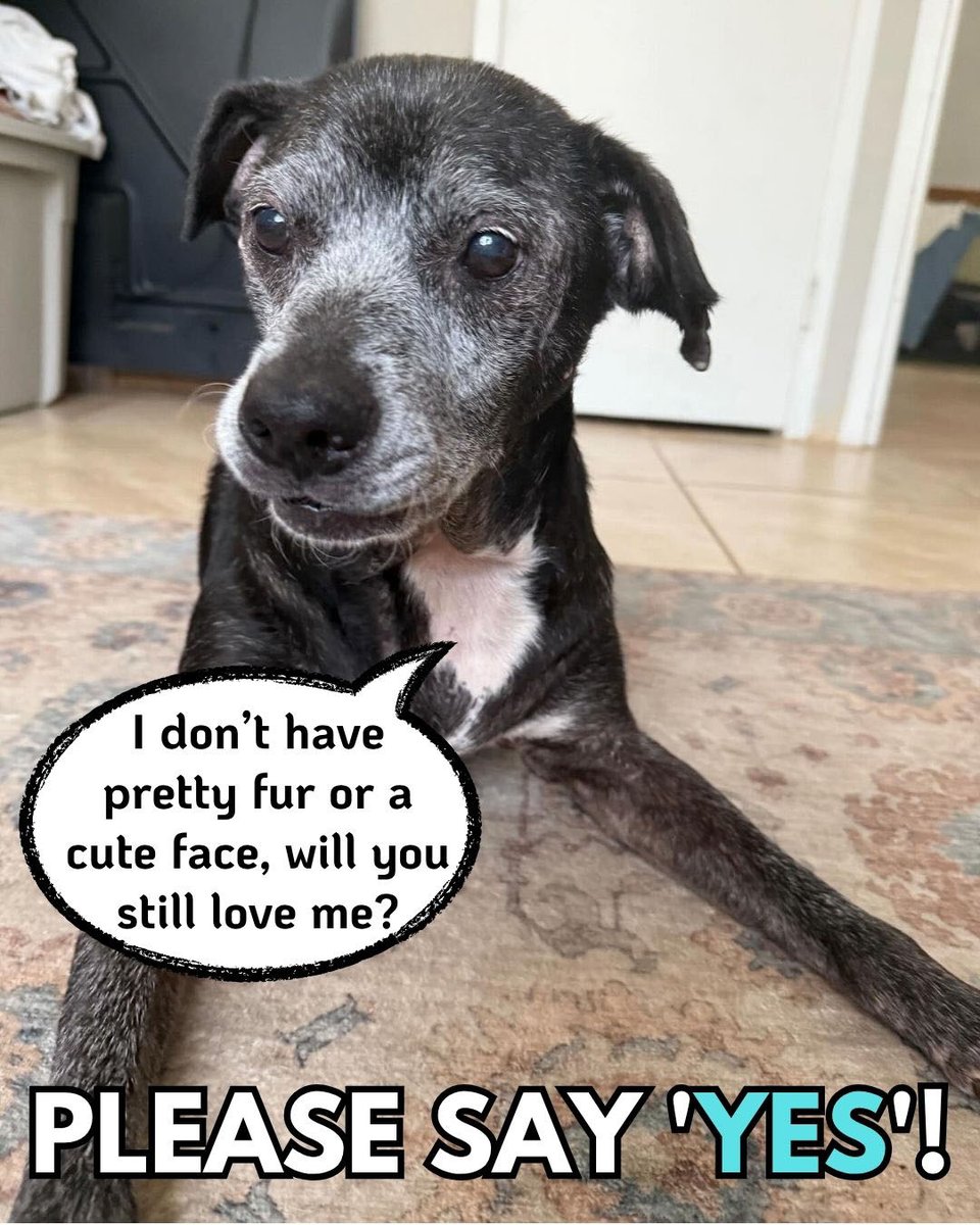 HTML vs MarkDown. Dando formato a tus publicaciones. | PeakD, image size:960x1200