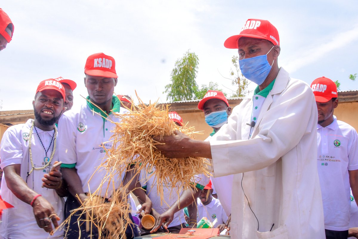 KanoPastoral's tweet image. KSADP funded by #IsDB & #LLF, trains 1,000 youths in Kano on rice straw utilization skills, to provide feed for ruminants, as part of the overall project objectives to create jobs, alleviate poverty, enhance agric productivity & mitigate farmers-herdsmen conflict.