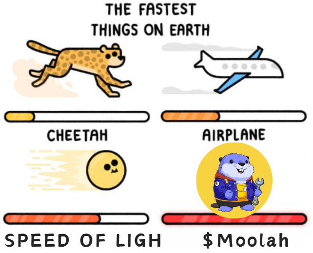 Trunkz 𓃒 TheWhaleSyndicate tweet media