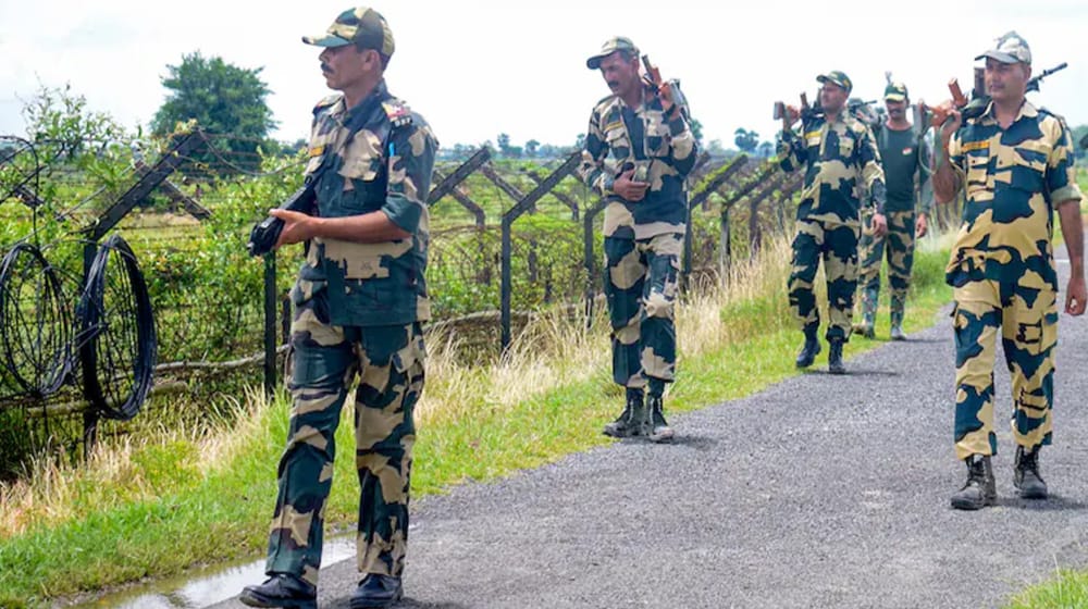 আখাউড়া সীমান্তে ১০টি গরু আটক করেছে বিএসএফ, ফেরতের প্রক্রিয়া চলছে