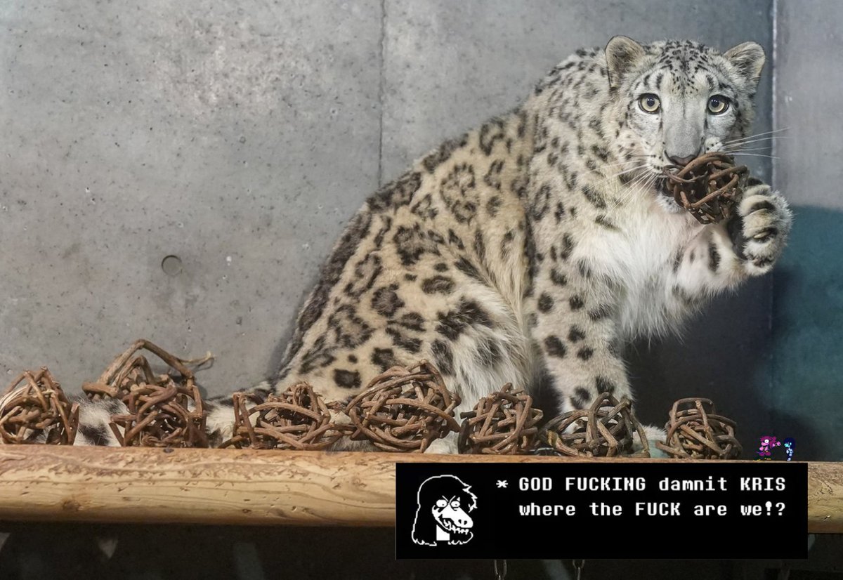 A new dark fountain has just been opened... 

#deltarune #snowleopard #snep #himeru