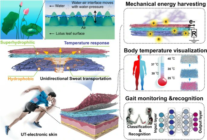 An All-Nanofiber-Based Customizable Biomimetic Electronic Skin for Thermal‑Moisture Management and Energy Conversion
🧑‍🎓Qufu Wei et al.
🏫Tianjin University &amp; Jiangnan University
🔗link.springer.com/article/10.100…
#Textile-based electronic #Body temperature visualization