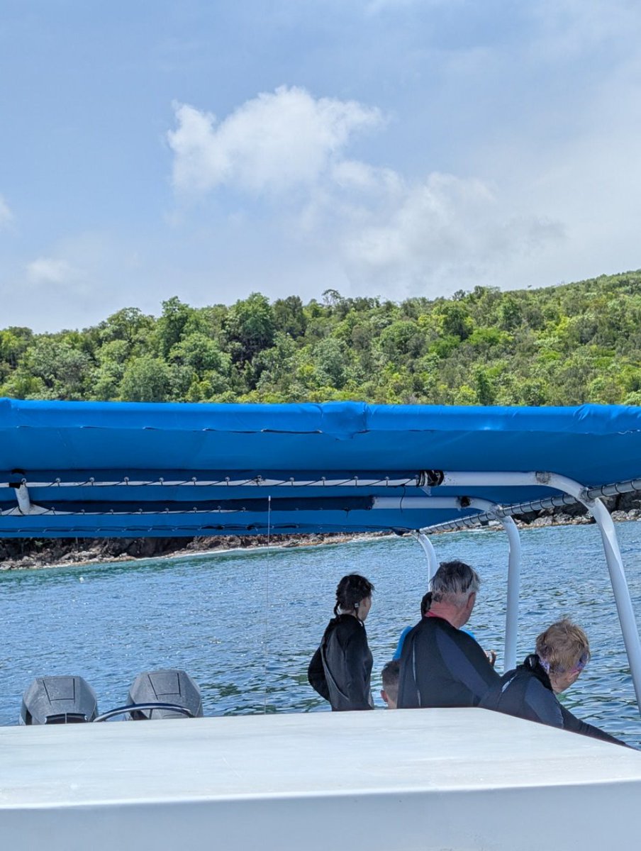 brownabiigail's tweet image. 🧜🏾‍♀️ Settings&amp;amp; #Chese.com