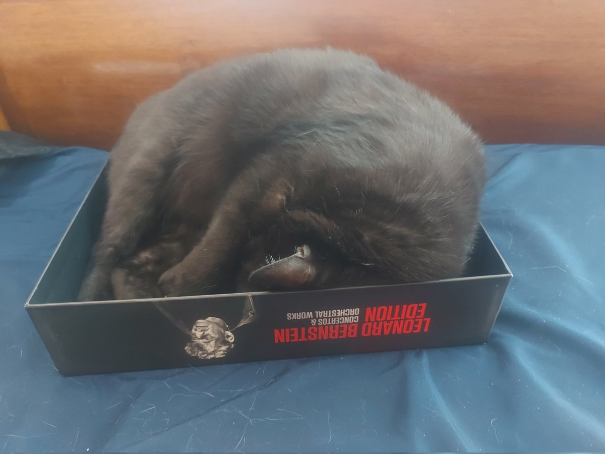 Valerio Re tweet media