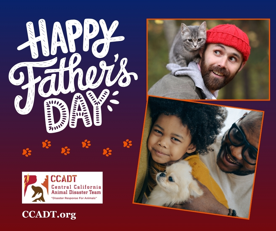 Happy Father’s Day to the dads who give their whole heart — whether it’s to a child or a furry best friend. 💙 Your love means more than words can say. Today, we honor YOU 
#FathersDay 
#PetDadsAreDadsToo 
#HeartOfAFather