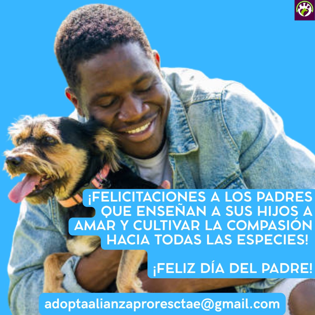 Alianza Pro Rescate (@alianzaprores) on Twitter photo Hola a todos los padres de la comunidad de Alianza,
Esperamos de corazón que disfruten muchísimo este día rodeados del cariño de toda su familia, incluyendo a sus adorables compañeros de dos y cuatro patas.
Feliz Día del Padre! <a href="/RemiMartinPR/">Remi Martin</a> Hola a todos los padres de la comunidad de Alianza,
Esperamos de corazón que disfruten muchísimo este día rodeados del cariño de toda su familia, incluyendo a sus adorables compañeros de dos y cuatro patas.
Feliz Día del Padre! <a href="/RemiMartinPR/">Remi Martin</a>