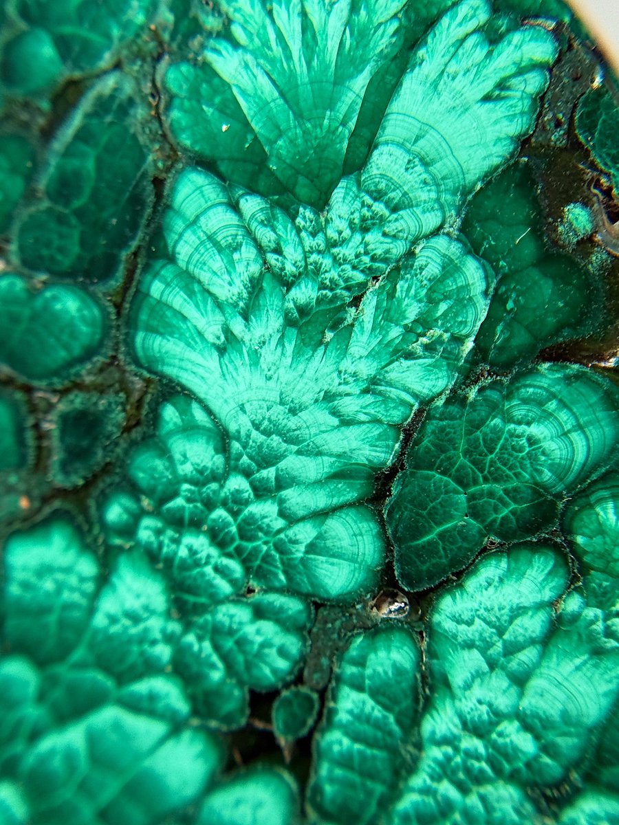 Daily Crystal Macro Shot Thread 🧵