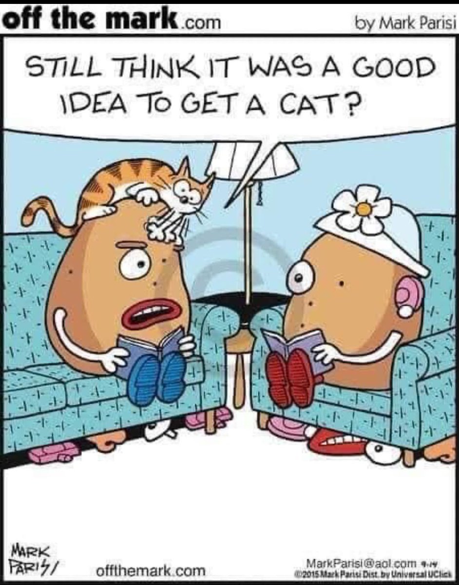 #SundayPunDay