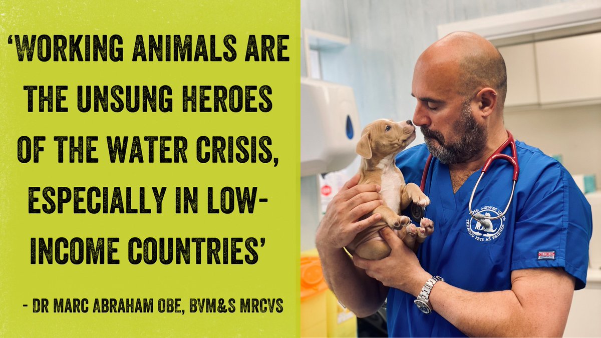 This #InternationalWorkingAnimalDay I’m joining @SPANACharity to call on world leaders to prioritise inclusive water services that meet needs of all animals, as well as the people who depend on them, to ensure fair &amp; reliable access for all: spana.org/letter #AnimalWelfare