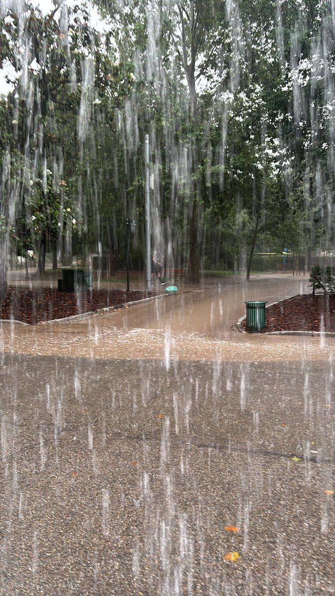 Manuel Bermejo tweet media