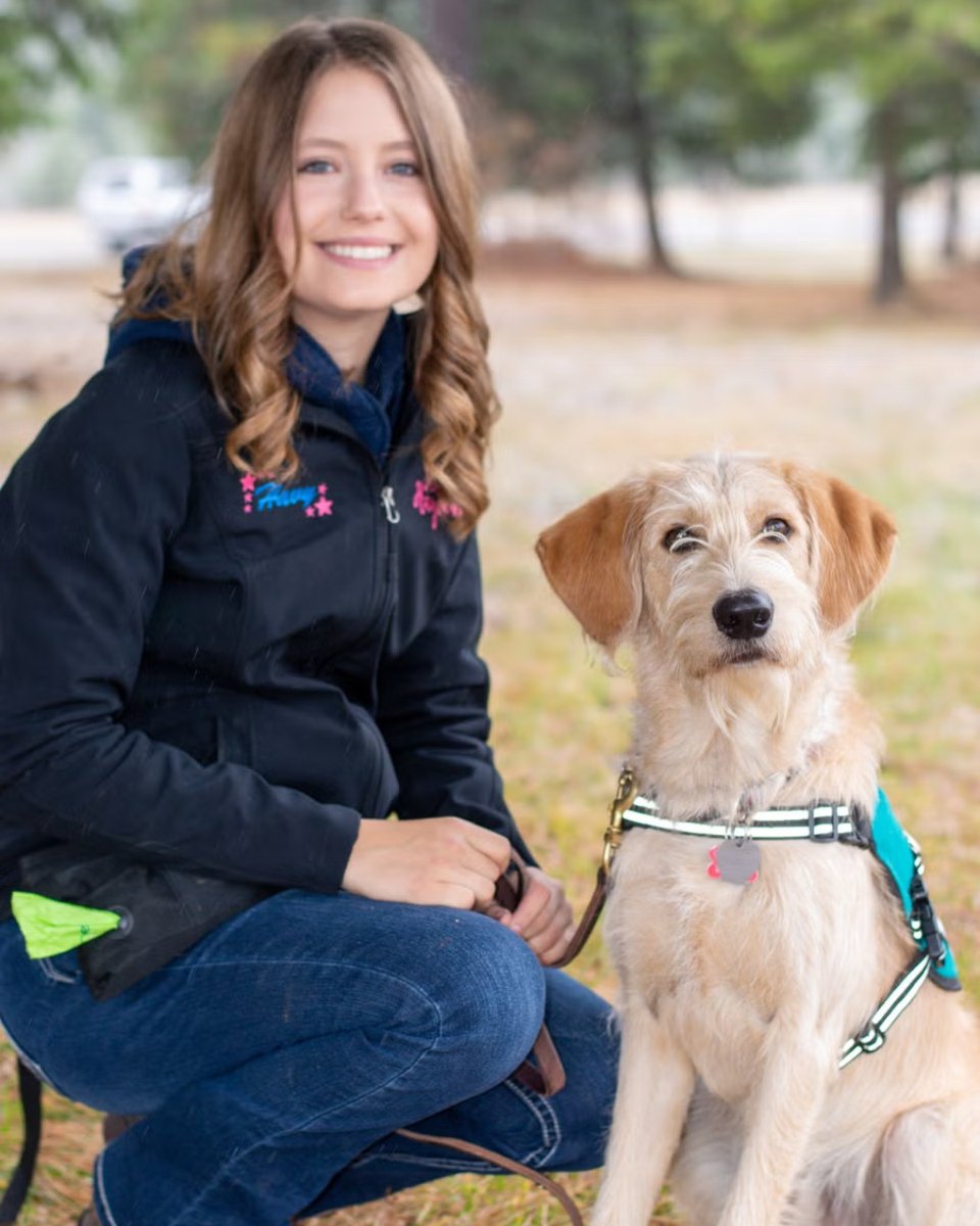 Less than 1% earn it—and Hayven Chase did just that. 👏 She became Timberlake FFA’s first American FFA Degree recipient, joined on stage by her service dog, Scentinel. 🐾💙 #AmericanFFADegree
🔗 ffa.pub/4dyi3HQ