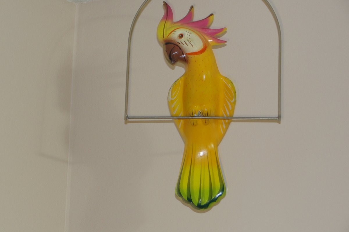 share.singsnap.com/play/13626007 "No Body" with Larry Anderson from Blake Shelton