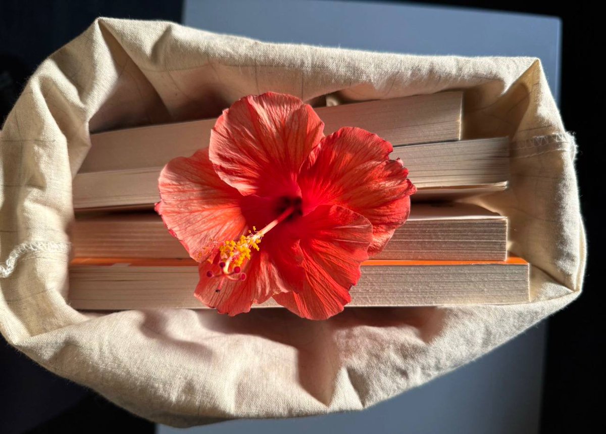 - لا أحد يستحق أن يعرفنا بالكامل.
𝒏𝒐 𝒐𝒏𝒆 𝒅𝒆𝒔𝒆𝒓𝒗𝒆𝒔 𝒕𝒐 𝒌𝒏𝒐𝒘 𝒖𝒔 𝒄𝒐𝒎𝒑𝒍𝒆𝒕𝒆𝒍𝒚.