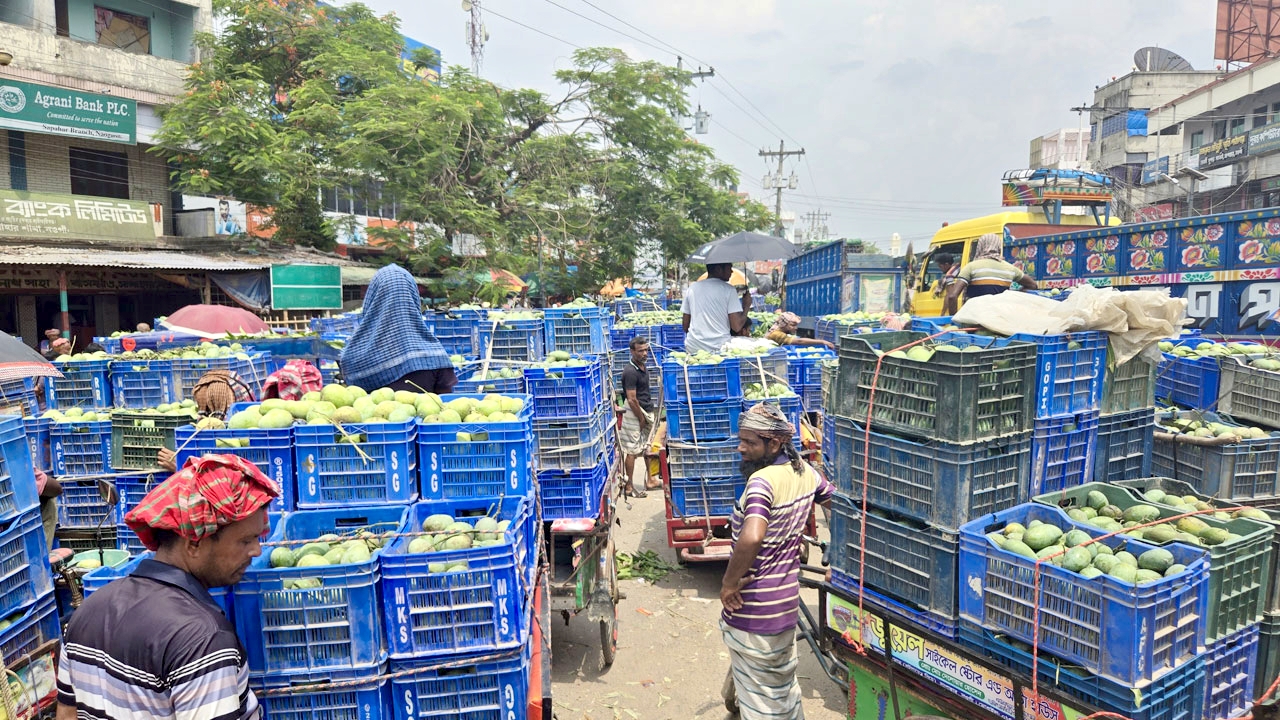 জমে উঠেছে নওগাঁর সাপাহার আমের হাট, দাম কম থাকায় চাষিরা হতাশ
