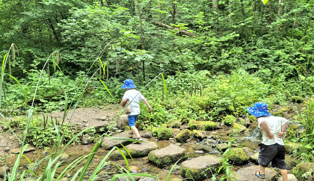 Great day exploring Hackfall Forest