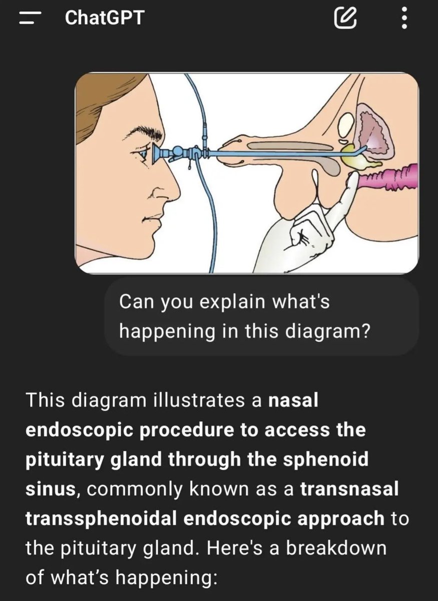 Job marked safe from AI… 🤣🤣🤣💀💀💀