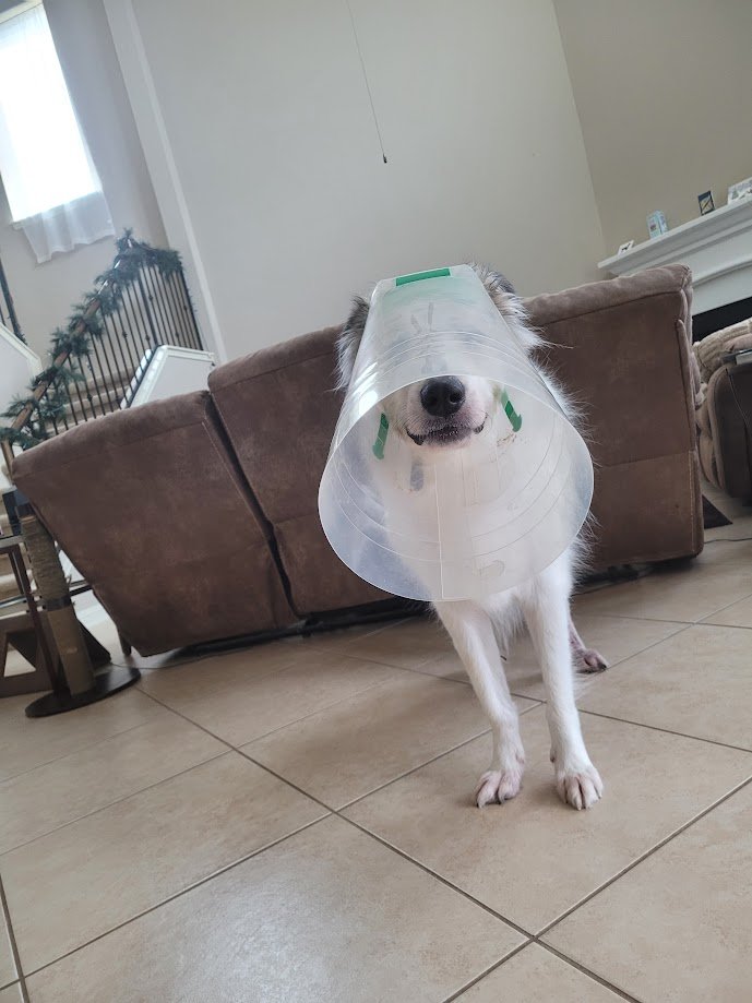 Matthew J. Fahey tweet media