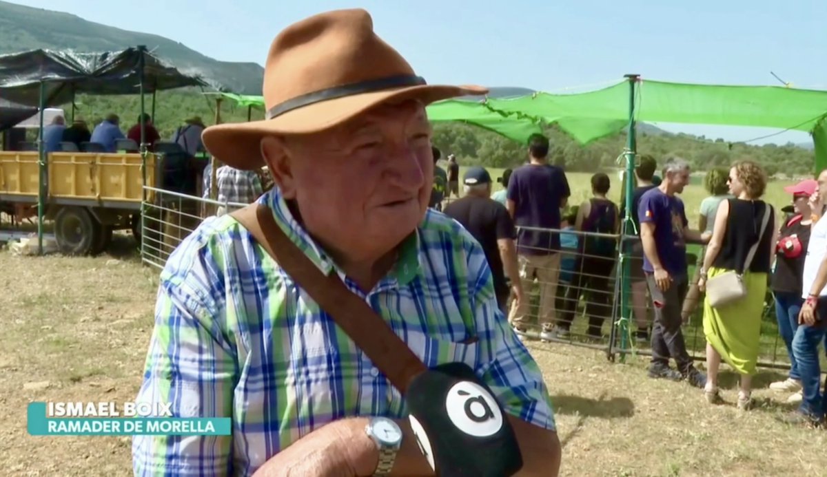 codeposa's tweet image. Avui ens ha tocat cobrir el 18è Concurs de Gossos Pastors d’Ares del Maestrat per a À Punt NTC
🎥🎤
#AresdelMaestrat #ElsPorts #Castelló #ComunitatValenciana
▸ apuntmedia.es/informatius/a-…