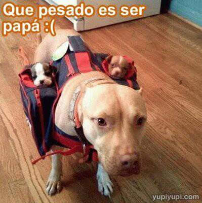 Nydia Cervera (@nydiacervera) on Twitter photo #FelizDomingo <a href="/gllgina1/">Gina..🌷</a> <a href="/EYACAR65/">EYA</a> <a href="/nora_nap/">⭐NORA ARCINIEGA⭐</a> <a href="/mtz_tt/">B€TT¥ ツ</a> <a href="/duky1107/">Claudia</a> <a href="/PatyZavalat/">Paty Zavala</a> <a href="/LETICIA777/">LETICIA TORRES</a> <a href="/akyoshi09/">Fabiola</a> <a href="/CasLaaU/">Soy Lau. 💜🍉</a> <a href="/DaliaMRocha/">Yaya Rocha</a> <a href="/Froggieland/">Anny Reyes</a> <a href="/Janinah18/">Janina Hidalgo Ybarra</a> <a href="/raquelgarzac/">raquel garza</a> <a href="/JohannaLizalde/">Johanna Lizalde</a> <a href="/HuesitosDF/">Huesitos DF</a> <a href="/IsabelYsita/">#WeAreMadleen🛥️🕊️🇸🇩</a> <a href="/gretakolarik/">Greta Kolarik</a> <a href="/soymolid/">@soymoli</a> <a href="/AvilMac/">Marvel</a> <a href="/Marvinel3/">MaRViN *゜★゜*THE MARVINOUS★゜👽</a> <a href="/Negra_start/">Ⓝⓔⓖⓡⓐ</a> <a href="/zaradrj/">🐕Sara Del Razo J.</a> <a href="/alapez/">alejandra</a> 🐶💕 #FelizDomingo <a href="/gllgina1/">Gina..🌷</a> <a href="/EYACAR65/">EYA</a> <a href="/nora_nap/">⭐NORA ARCINIEGA⭐</a> <a href="/mtz_tt/">B€TT¥ ツ</a> <a href="/duky1107/">Claudia</a> <a href="/PatyZavalat/">Paty Zavala</a> <a href="/LETICIA777/">LETICIA TORRES</a> <a href="/akyoshi09/">Fabiola</a> <a href="/CasLaaU/">Soy Lau. 💜🍉</a> <a href="/DaliaMRocha/">Yaya Rocha</a> <a href="/Froggieland/">Anny Reyes</a> <a href="/Janinah18/">Janina Hidalgo Ybarra</a> <a href="/raquelgarzac/">raquel garza</a> <a href="/JohannaLizalde/">Johanna Lizalde</a> <a href="/HuesitosDF/">Huesitos DF</a> <a href="/IsabelYsita/">#WeAreMadleen🛥️🕊️🇸🇩</a> <a href="/gretakolarik/">Greta Kolarik</a> <a href="/soymolid/">@soymoli</a> <a href="/AvilMac/">Marvel</a> <a href="/Marvinel3/">MaRViN *゜★゜*THE MARVINOUS★゜👽</a> <a href="/Negra_start/">Ⓝⓔⓖⓡⓐ</a> <a href="/zaradrj/">🐕Sara Del Razo J.</a> <a href="/alapez/">alejandra</a> 🐶💕
