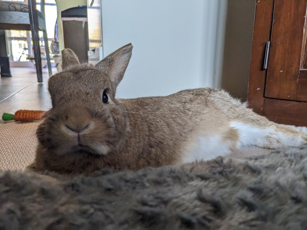 why are you looking at me like that....,.