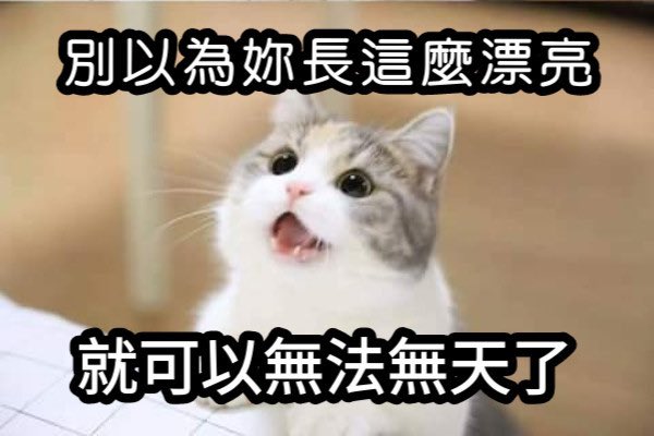 lust2207's tweet photo. @Gardenia009271 看到好看的人要記得留言～ https://t.co/COVm5TRrbr