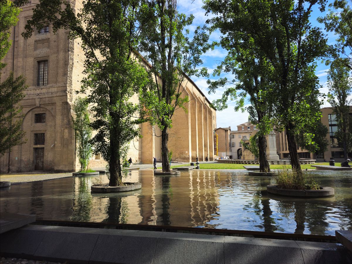 ECRR Network tweet media