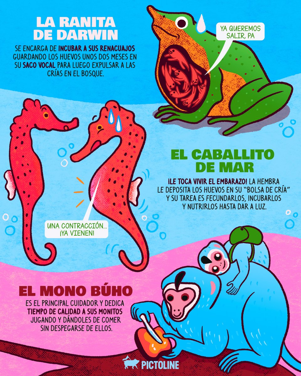 pictoline tweet media