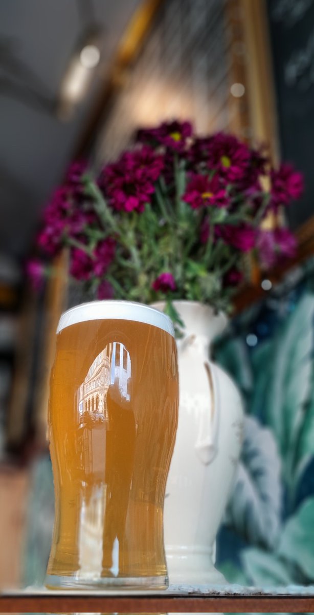 GingRealAleTrail (@stuart_pickard) on Twitter photo Pint of Cask Ale via <a href="/TheRecordCafe/">The Record Café</a> <a href="/visitBradford/">Visit Bradford</a> #Bradford #Yorkshire #VisitYorkshire #VisitBradford #DrinkLocal #SupportLocal #Pub <a href="/WishboneBrewery/">WishboneBrewery</a> using one of my favourite hops Ekuanot, I had to get a pint #GingRealAleTrail <a href="/Stuart_Pickard/">GingRealAleTrail</a> #CraftBeer #Beer #RealAle #Ale Pint of Cask Ale via <a href="/TheRecordCafe/">The Record Café</a> <a href="/visitBradford/">Visit Bradford</a> #Bradford #Yorkshire #VisitYorkshire #VisitBradford #DrinkLocal #SupportLocal #Pub <a href="/WishboneBrewery/">WishboneBrewery</a> using one of my favourite hops Ekuanot, I had to get a pint #GingRealAleTrail <a href="/Stuart_Pickard/">GingRealAleTrail</a> #CraftBeer #Beer #RealAle #Ale