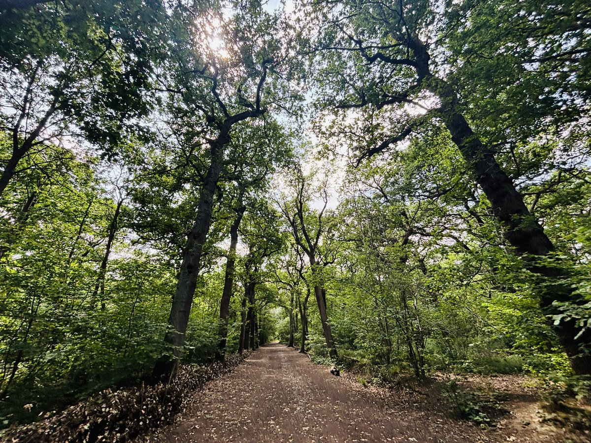 MissCDFarran's tweet image. Awesome 14-mile hike, starting at #Woolwich and finishing at #Ravensbourne πππΌββοΈπ₯Ύ
